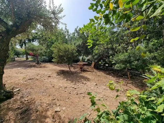Inviting 2bedroom Apartment in the City of Tavira - Dış Mekan