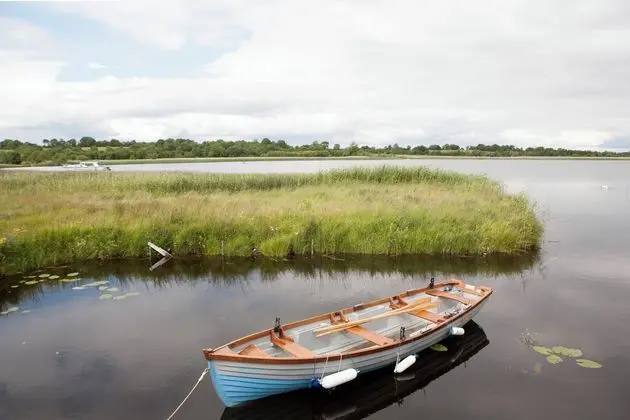 Inviting 4-bed House in Strokestown - Genel