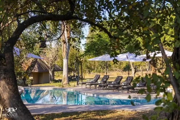 Inyati Game Lodge - Havuz