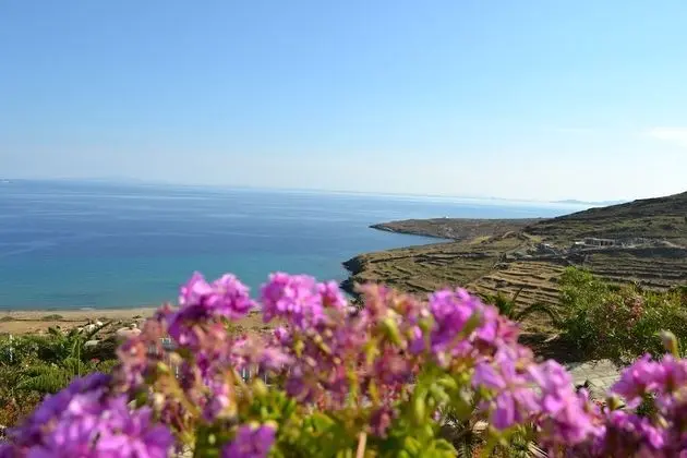 Villa Ioanna - Vacation Houses for Rent Close to the Beach - Plaj