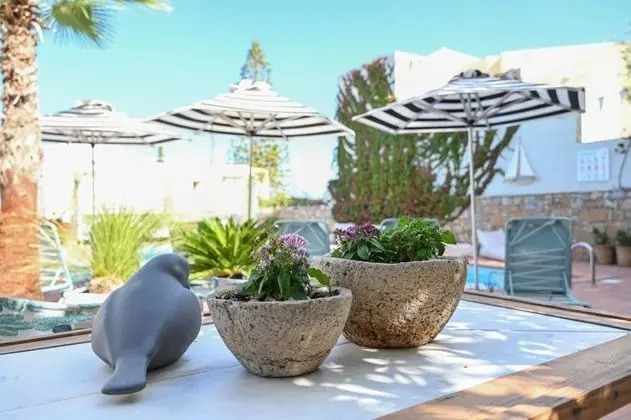 Villa Iokasti - Dış Mekan