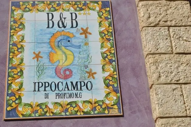 Ippocampo