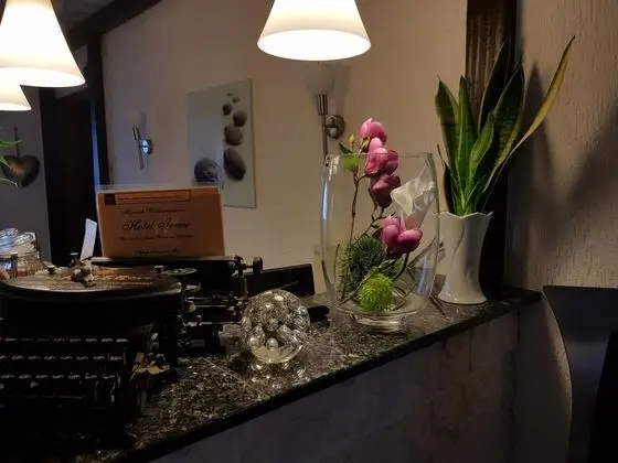 Hotel Irene - Genel
