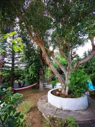 Villa Irene - Dış Mekan