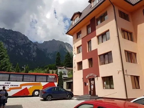 Iri Busteni Hotel - 1