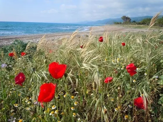 Irida Resort - Plaj