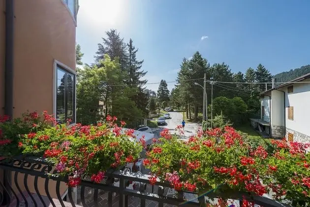 Hotel Iris