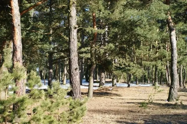 IRS ROYAL APARTMENTS - IRS Neptun Park - Dış Mekan