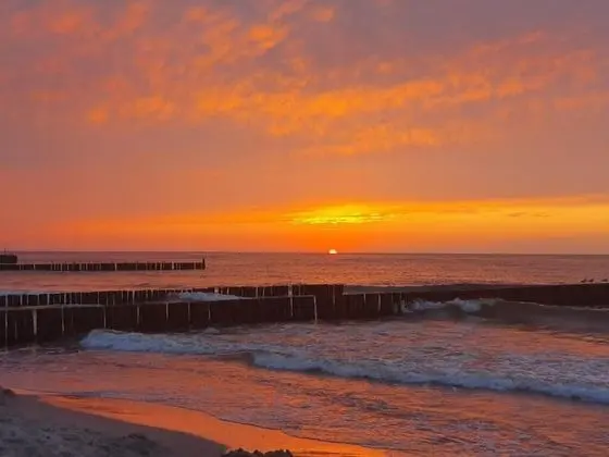 IRYS&BRATEK Domy wakacyjne-365PAM