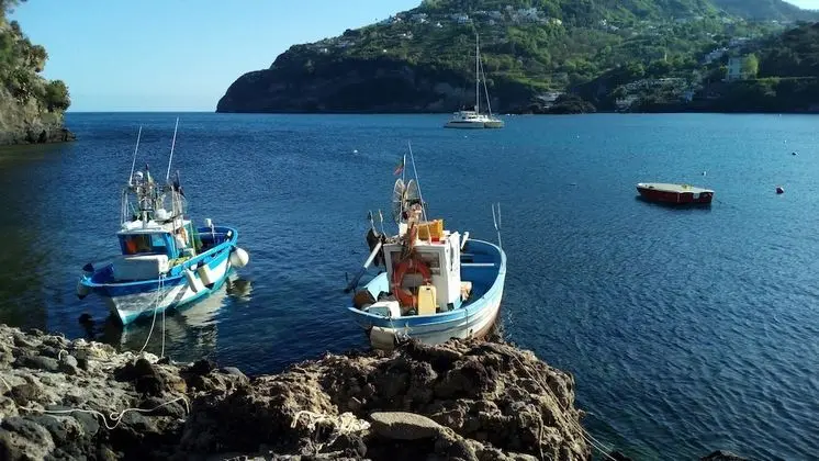 Ischia Ponte Romantic Apartment in the Historical Center and Near the sea