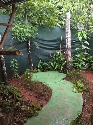 Isla Violin Eco Lodge