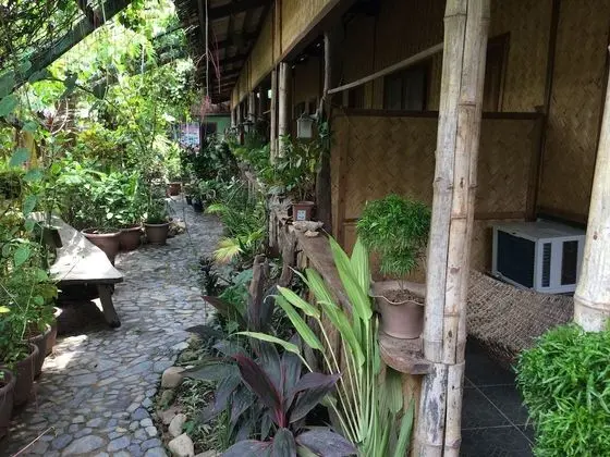 Island Front II