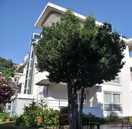 Island HotelFotoğrafı