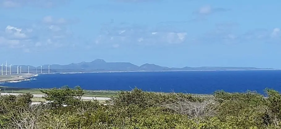 Island House Curacao - Dış Mekan