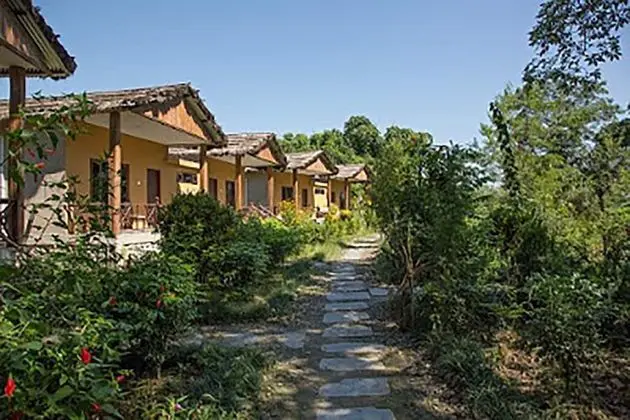 Island Jungle Resort - Dış Mekan
