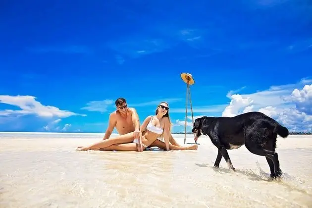 The Island - Pongwe Lodge - Adults Only - Plaj