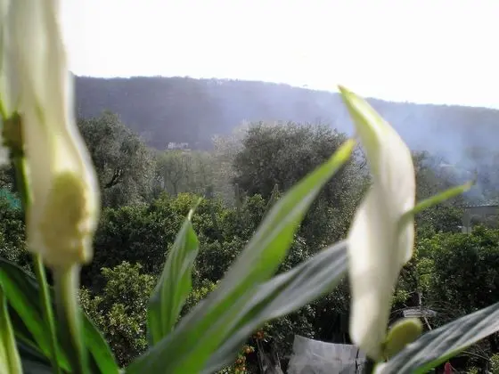 Itaca b&b - Oda Manzaraları