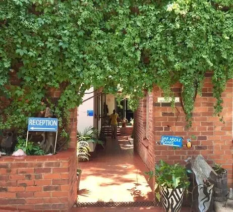 It's a Small World Backpackers Lodge - Hostel - Dış Mekan