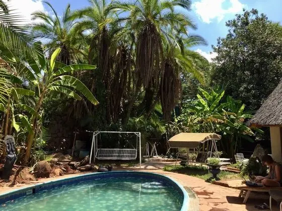 It's a Small World Backpackers Lodge - Hostel - Havuz