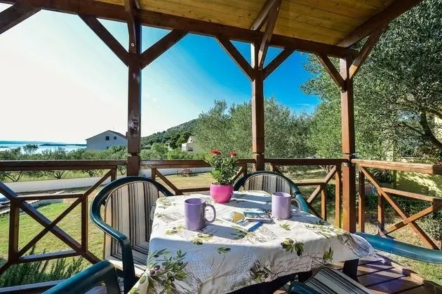 Iva - Great Garden - H