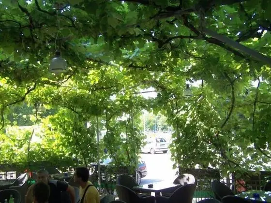 Ivac Inn