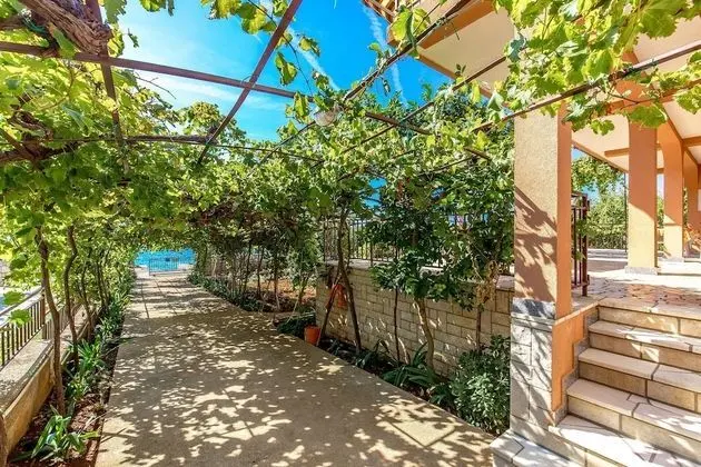 Ivan - 15 m From Beach - A1