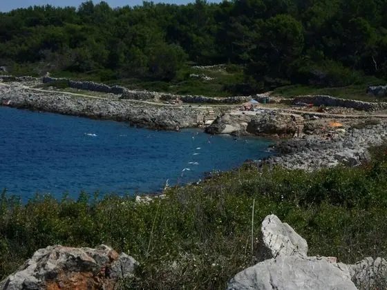 Ivan - 50 m From sea - A1 Danijela - Plaj