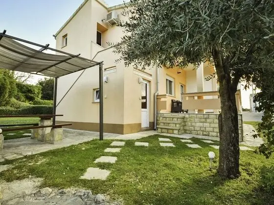 Ive Petr ane in Petr ane