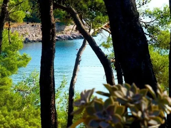 Ivica - 40 m From Beach - A2