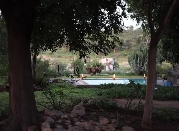 Ivory Wilderness River Rock Lodge - Havuz