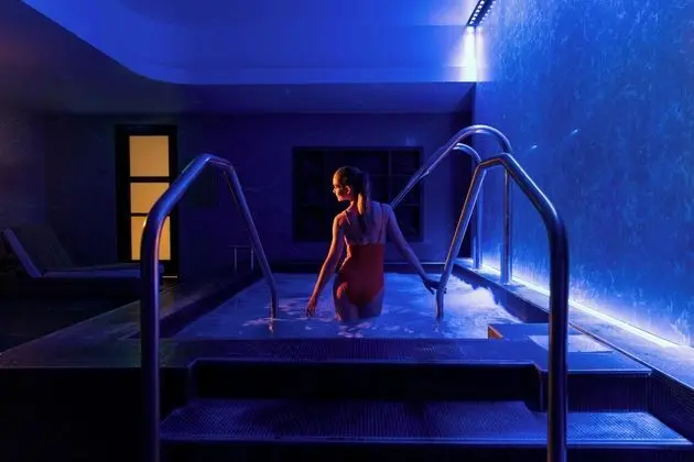 Hotel Ivy, a Luxury Collection Hotel, Minneapolis - Havuz