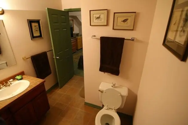 Ivy Bear B&P - Banyo Tipleri