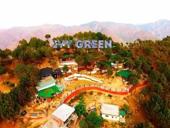 IVY Green Resort