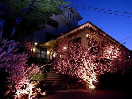 Iwashita Onsen Ryokan