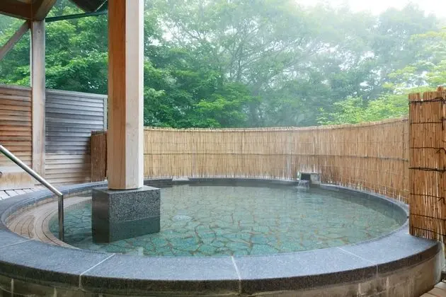 Izumigo Kiyosato Kogen Hotel - Havuz