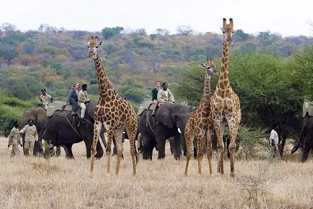 Jabulani Safari Lodge - Oda