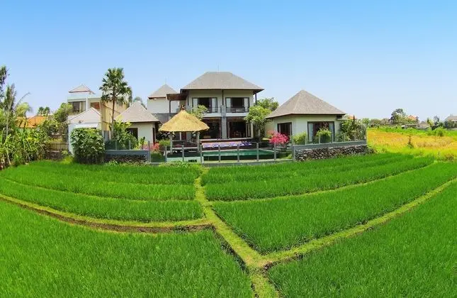 Jabunami Villa - Dış Mekan