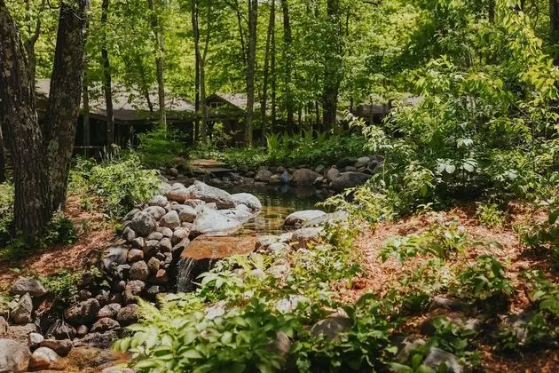 Jack Pines Resort