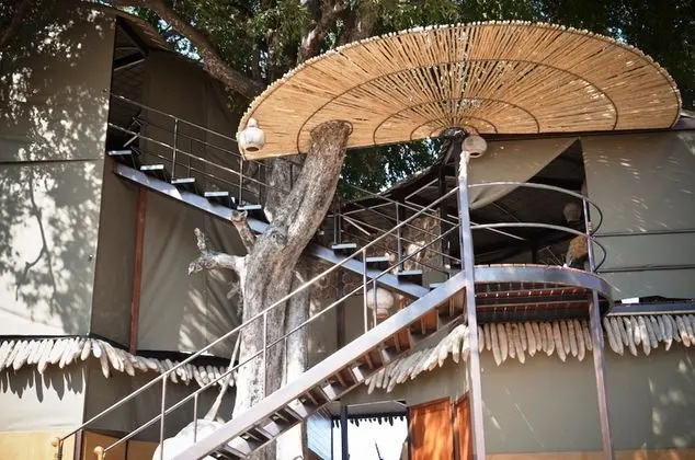 Jackalberry Tented Camp