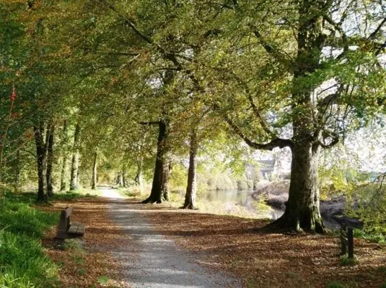 Jack's Place Beautiful 3-bed House Donegal - Genel