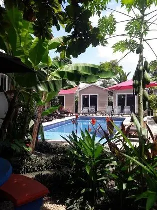 Jaco Lodge Quiet Hotel - Havuz