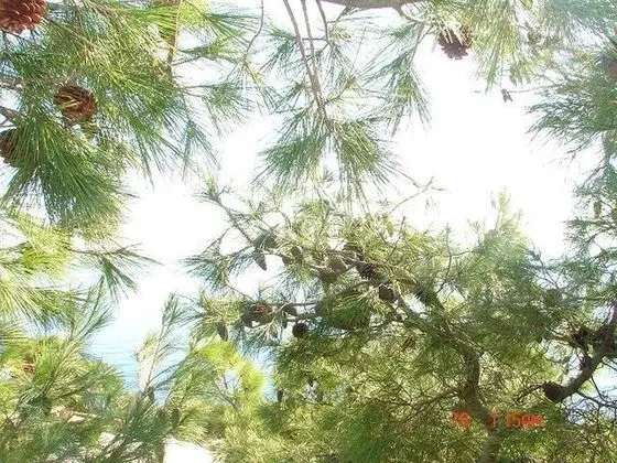 Jag - 20m From the sea - A2 Istocni