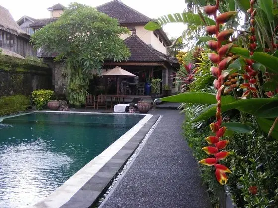 Jalan Jalan Villa and Spa - Havuz