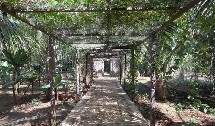 Jalsrushti Island Resort - Dış Mekan