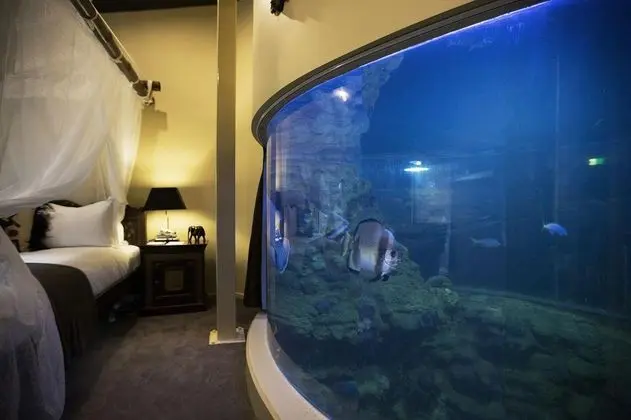 Jamala Wildlife Lodge - Genel