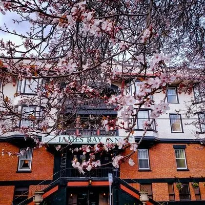 James Bay Hotel & Suites - Dış Mekan