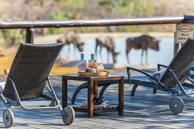 Jamila Game Lodge - Havuz