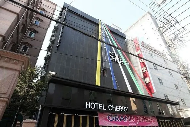 Jamsil Cherry