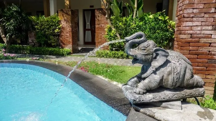 The Janan Villa - Havuz