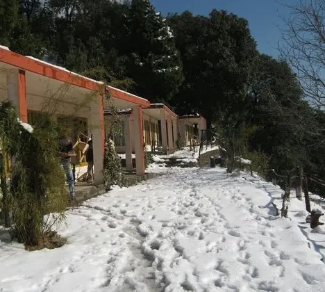 Janardan Resort Pangot, Nainital - Dış Mekan
